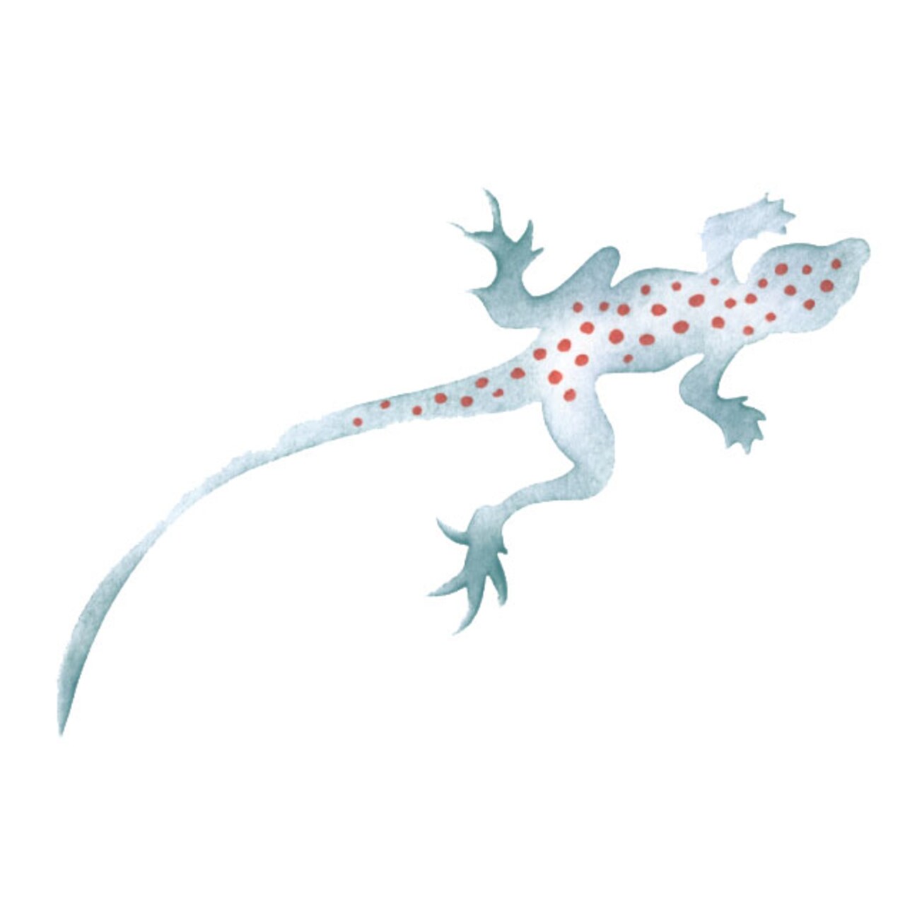 Lizard Wall Stencil | 2273 by Designer Stencils | Animal & Nature Stencils | Reusable Art Craft Stencils for Painting on Walls, Canvas, Wood | Reusable Plastic Paint Stencil for Home Makeover | Easy to Use & Clean Art Stencil